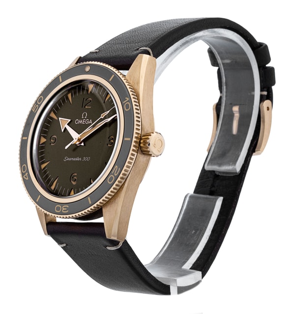 Omega Seamaster 300 234.92.41.21.10.001 Image 2